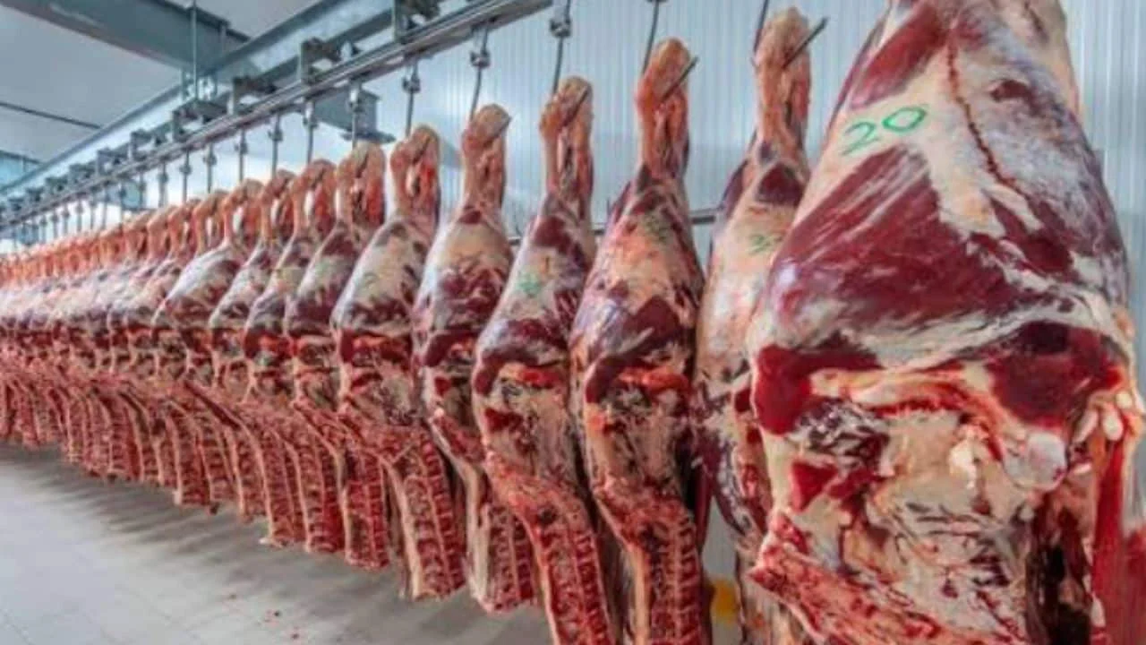 carne-1