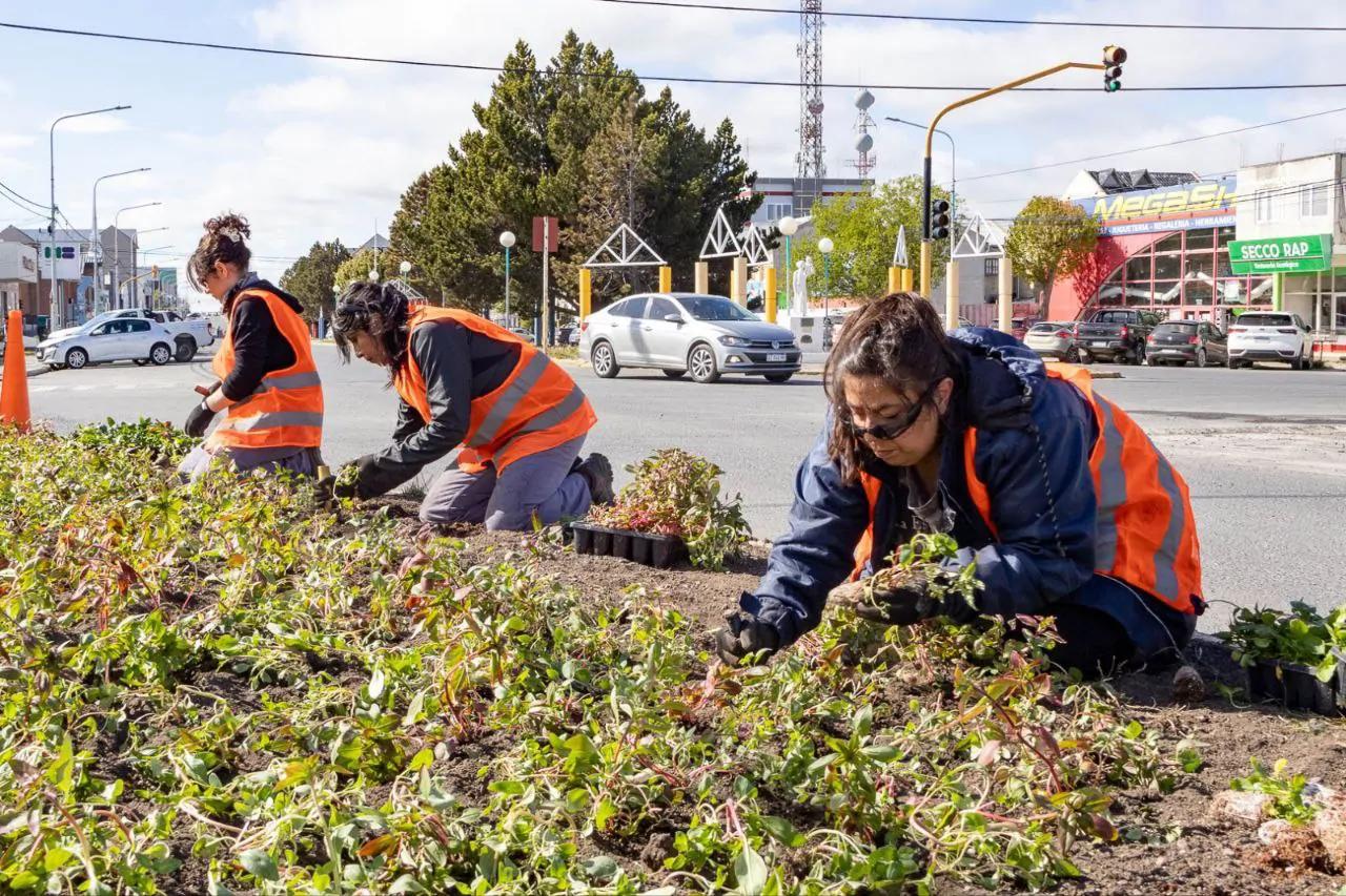 photo_5071144410275753201_y