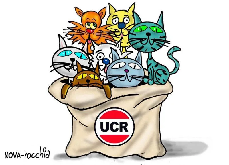 bbx_252834113_radicales_gatos_dibujo