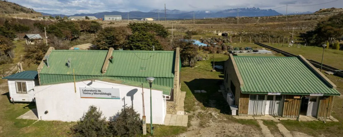 photo_2025-04-04_09-31-02-1200x480