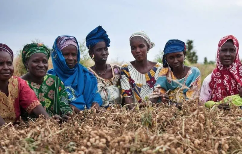 Mujeres-africanas-en-la-compleja-lucha-cotidiana-por-la-sobrevivencia-y-la-soberania-alimentaria-Foto-Grain