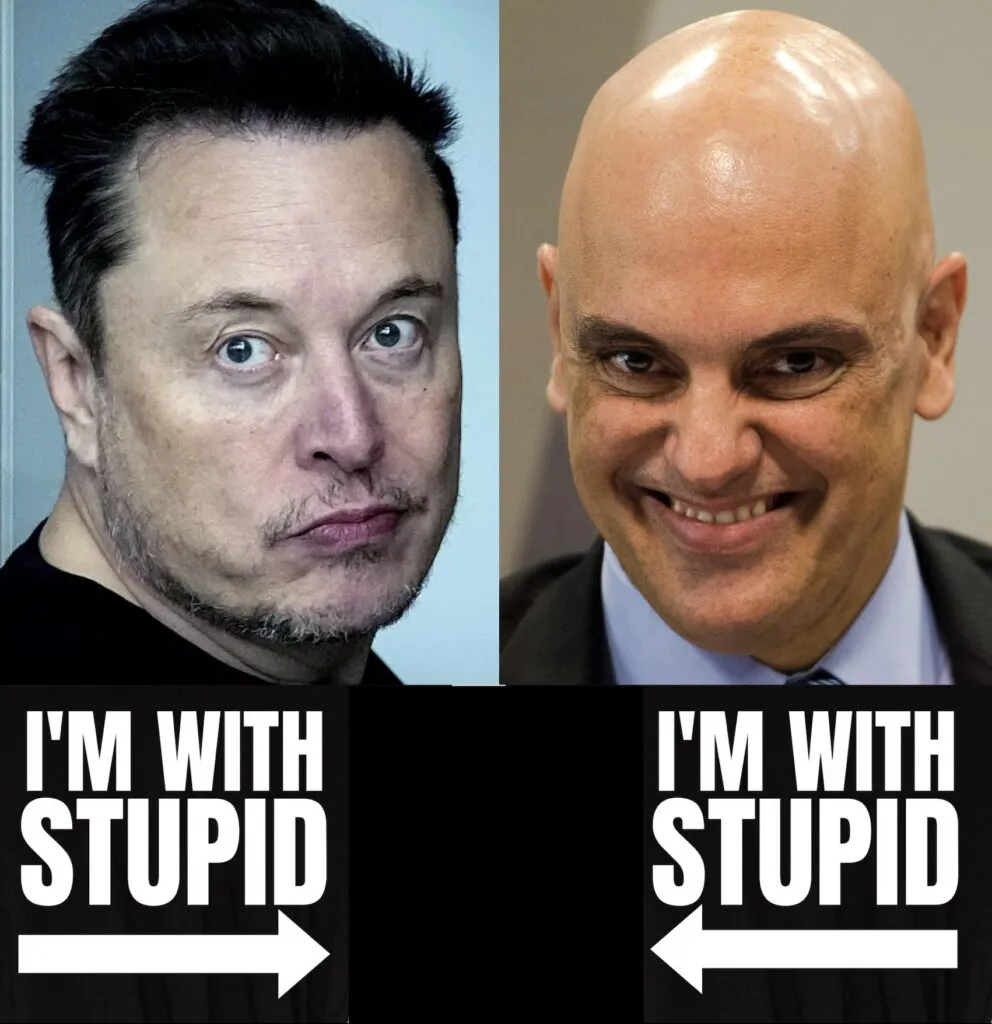 Stupids-992x1024
