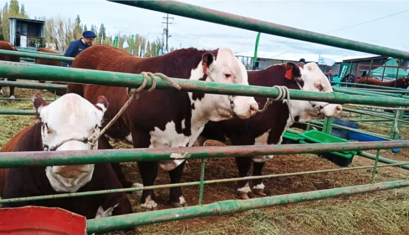 multimedia.normal.bd47ff9bd0b06085.bm9ybWFsLndlYnA=