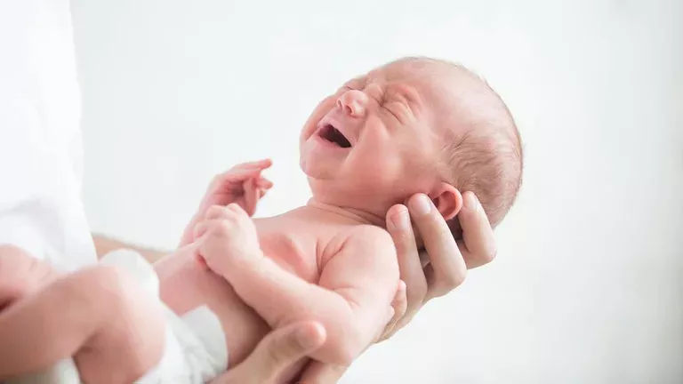 Comer La Placenta Después Del Parto ¿tiene Beneficios O Puede Ser Perjudicial 0832