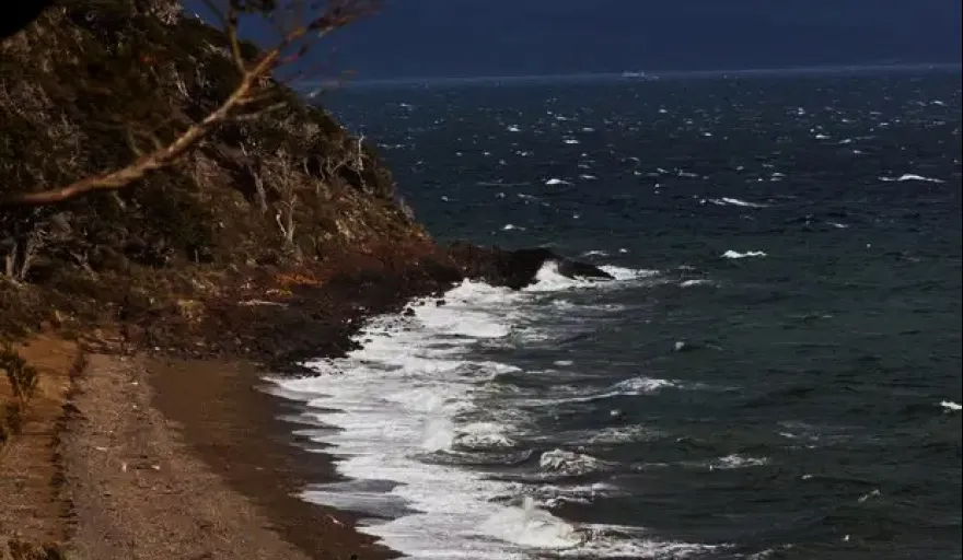 20251031221712_playa-ush