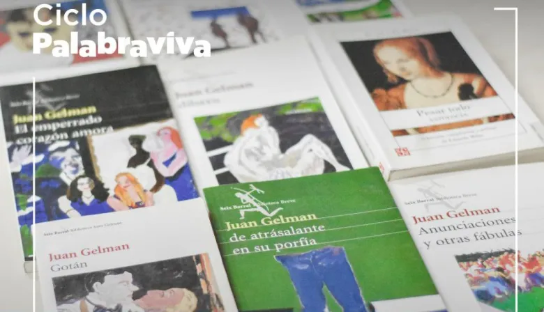 20240521162347_photo-5073468893820988677-y