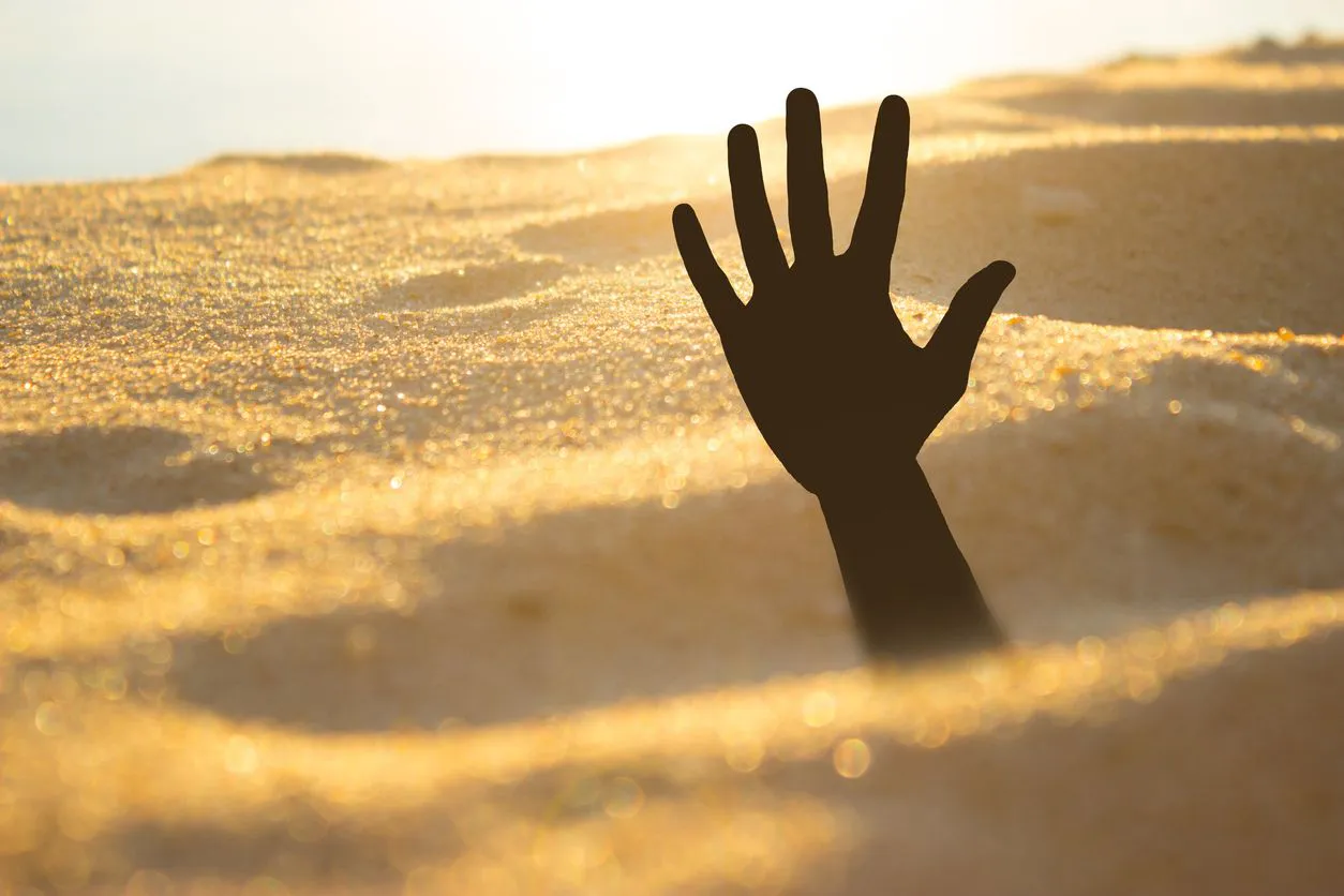 e645adf3-b66c-4941-9a03-ca612dd9cb35_source-aspect-ratio_default_0