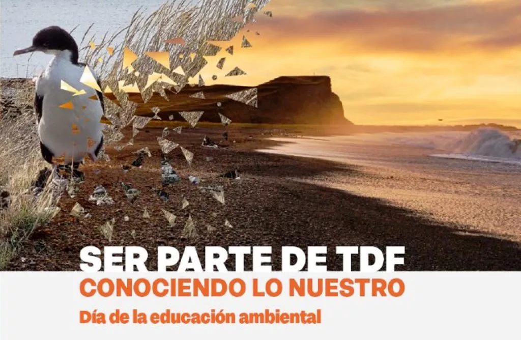 ser parte tdf