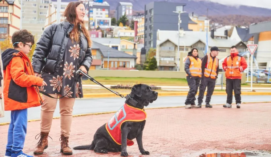 20250426193137_photo-2025-04-26-19-15-50