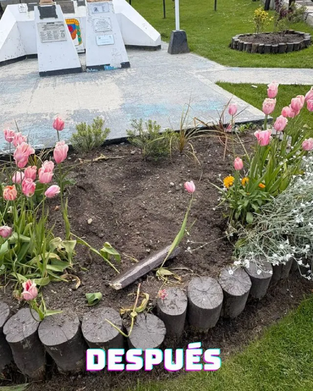 7d29bf1e-41cb-4e1f-b325-7413e9bd1b9b