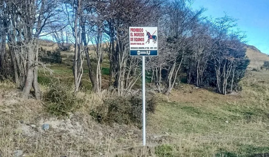 20250424152223_presencia-de-caballos-en-un-espacio-verde-de-las-640-viviendas