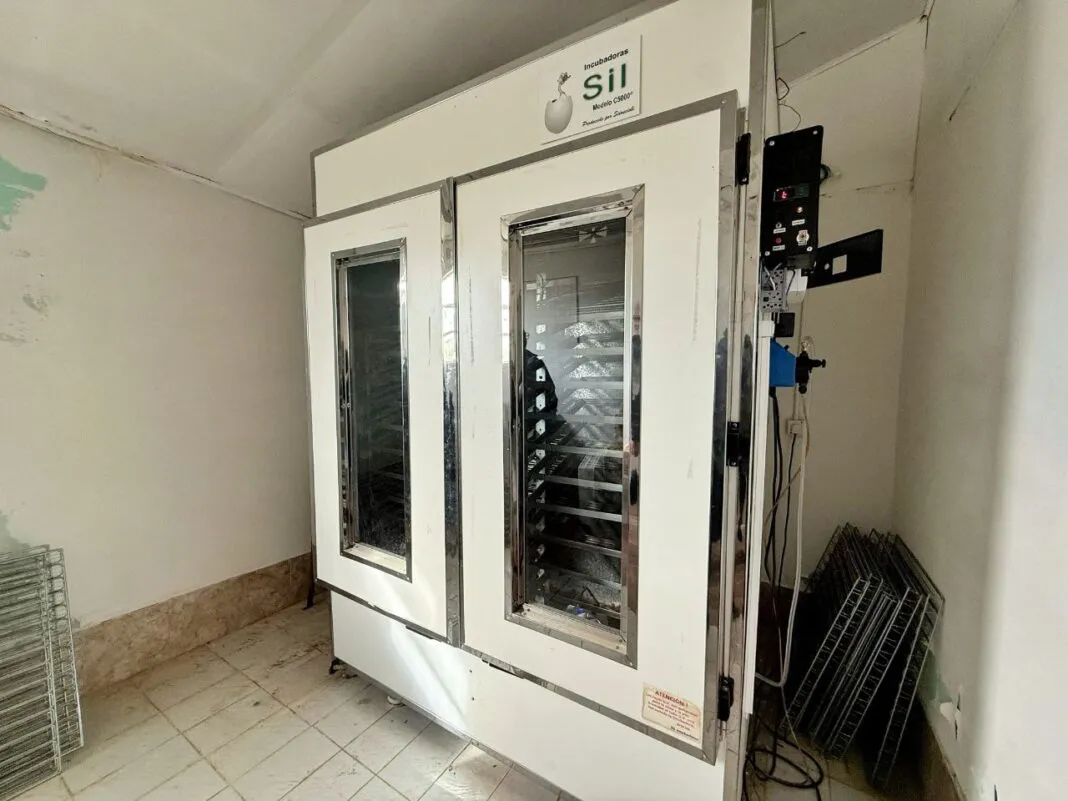 5111868654521265785-1068x801