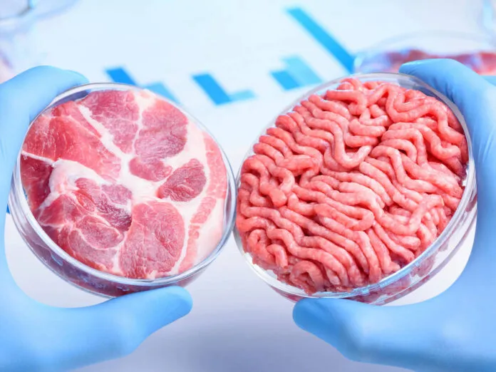 la-carne-de-laboratorio-que-impedira-la-trasmision-de-enfermedades-animales-696x522-1
