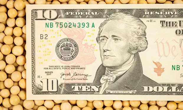 dolar-agro-200506