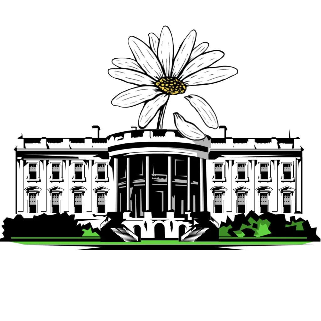 White-House-arbitrariness-1024x1024