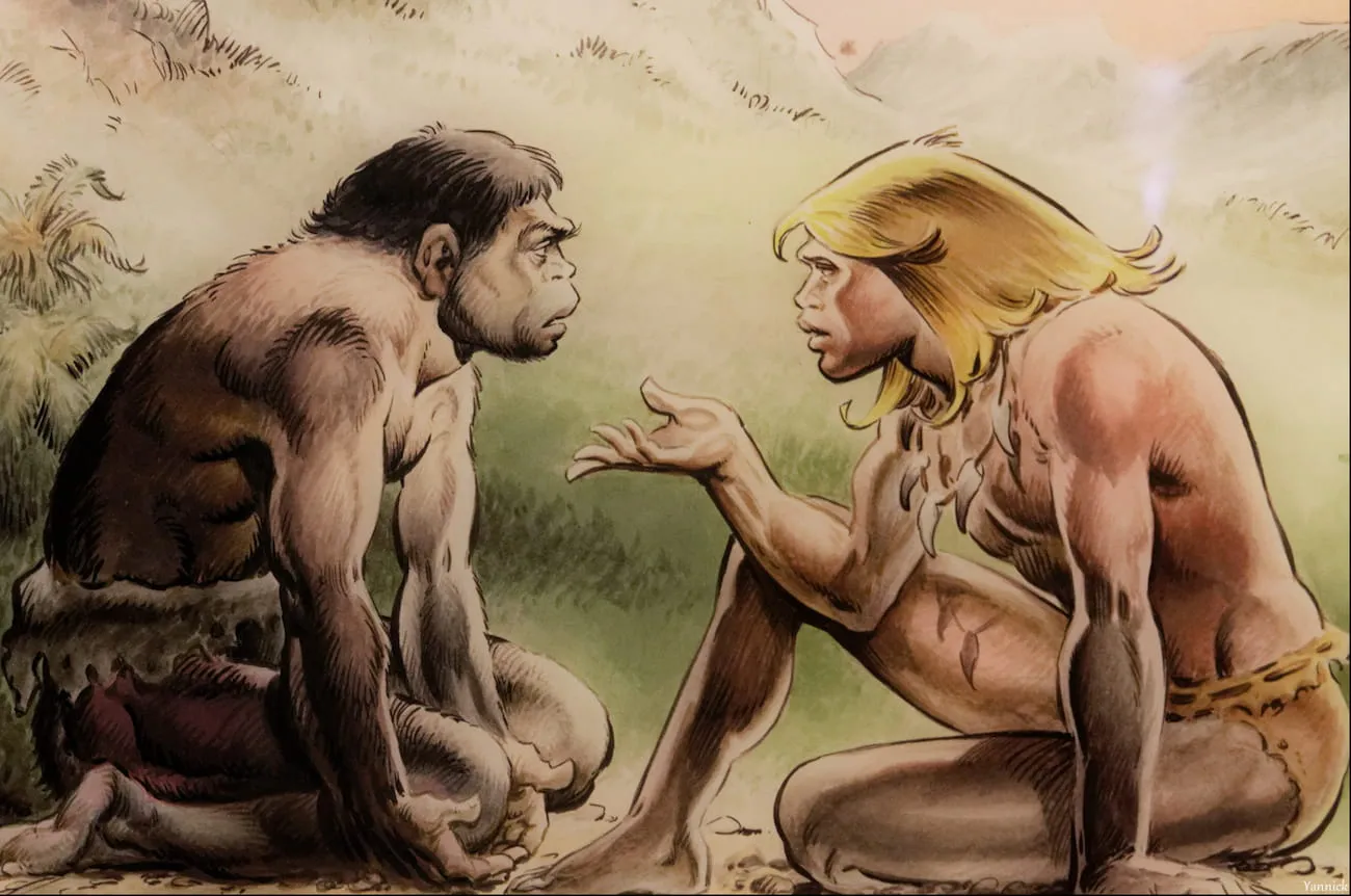 46714200742_7c98208a6e_o-2