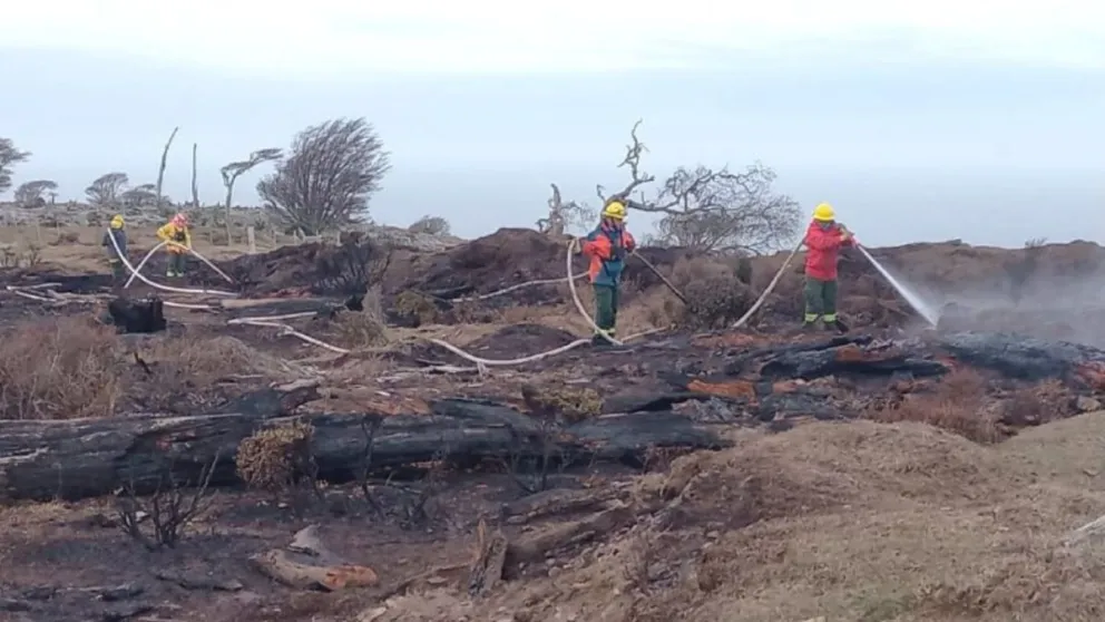 md - 2024-09-30T211828.369