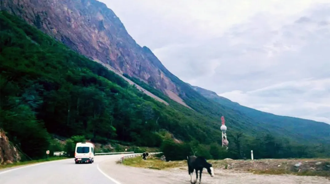 multimedia.normal.ac7b366f8b44d58e.bm9ybWFsLndlYnA=