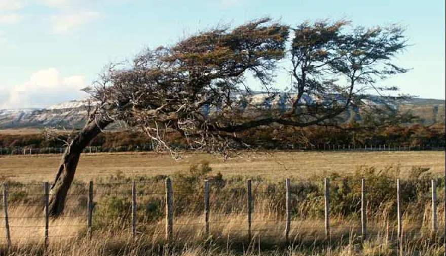 20250912113211_vientos-fuertes