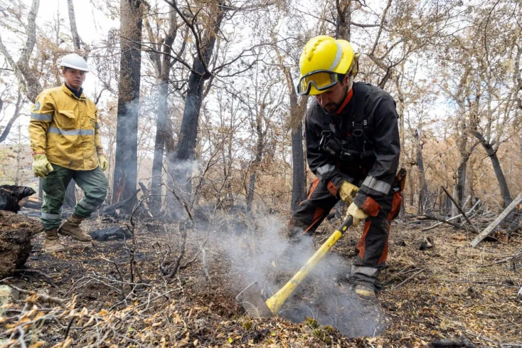 WhatsApp-Image-2025-02-22-at-13.14.35-1068x712