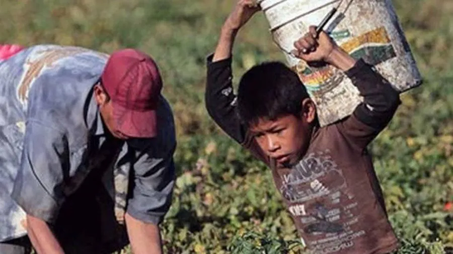 trabajo-infantil-1854783