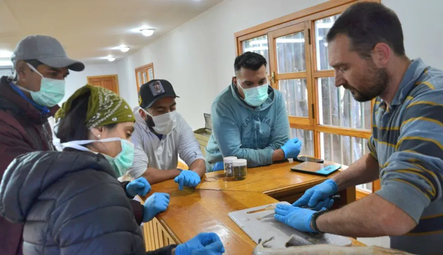 20250411095144_clase2