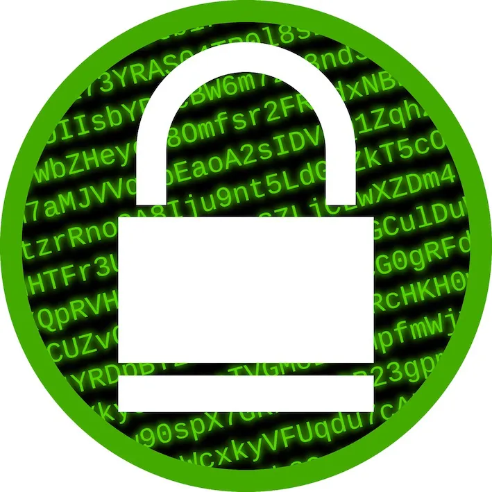 Encryption-OpenClipart-Vectors-Pixabay