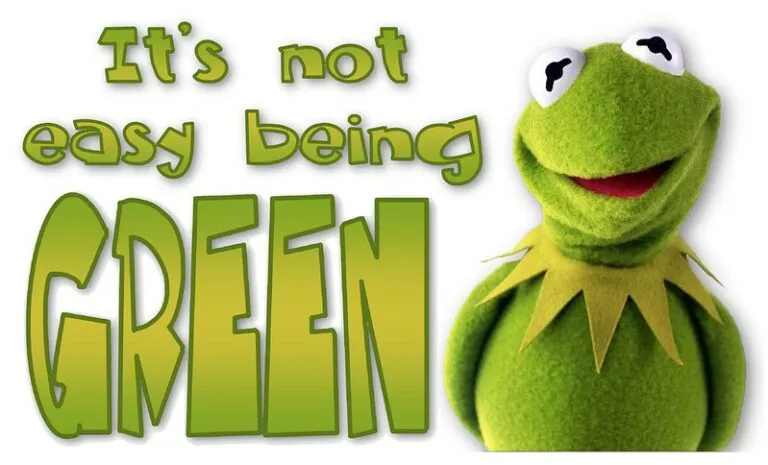 Kermit-the-Frog-768x465