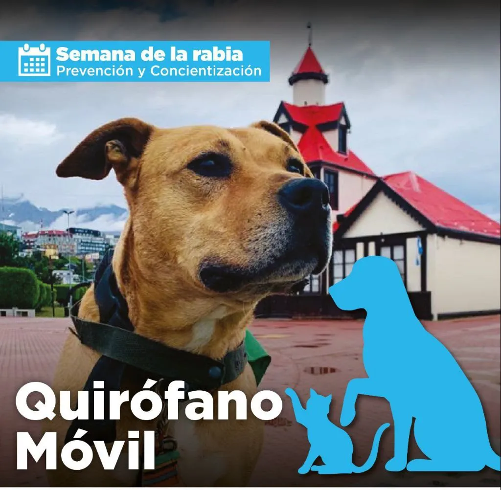 photo_5118794585638809971_y-e1725993607172