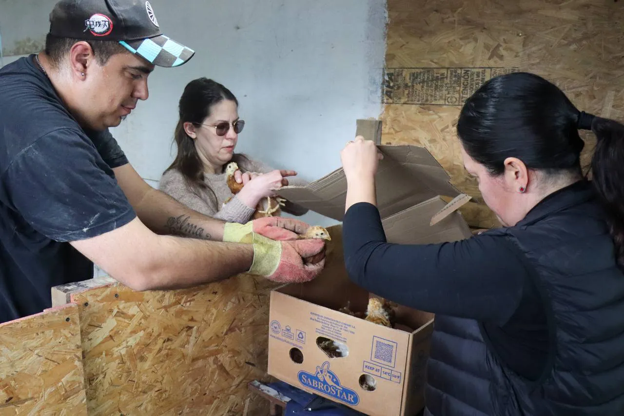 multimedia.normal.89d2561f03ced677.bm9ybWFsLndlYnA=