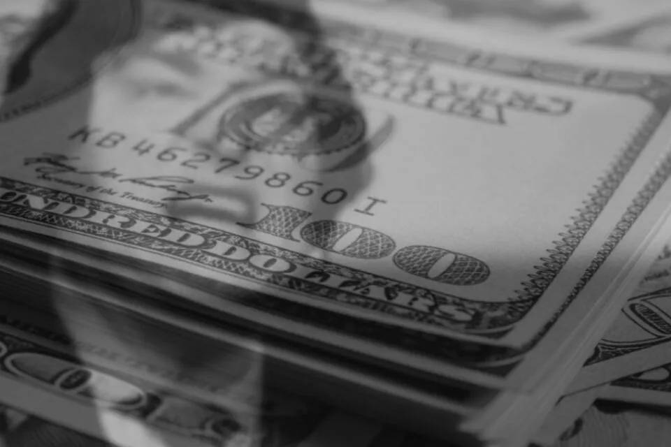 dolarizacion-milei-960x640