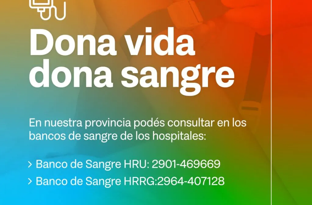 WhatsApp-Image-2025-01-10-at-12.28.49-PM-1023x675