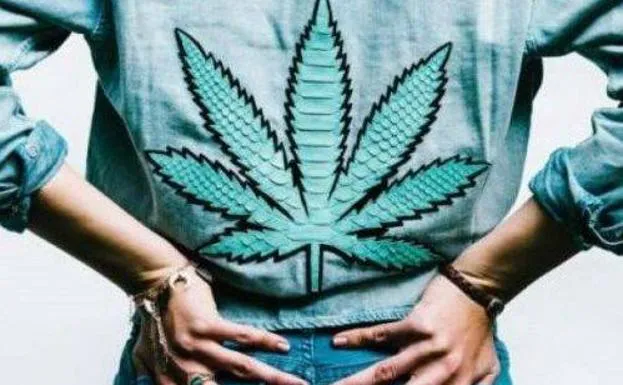 marihuana-kWbC-U501179818055B6C-624x385@El Correo