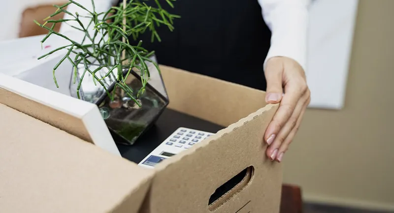 renuncia-dimision-quitting