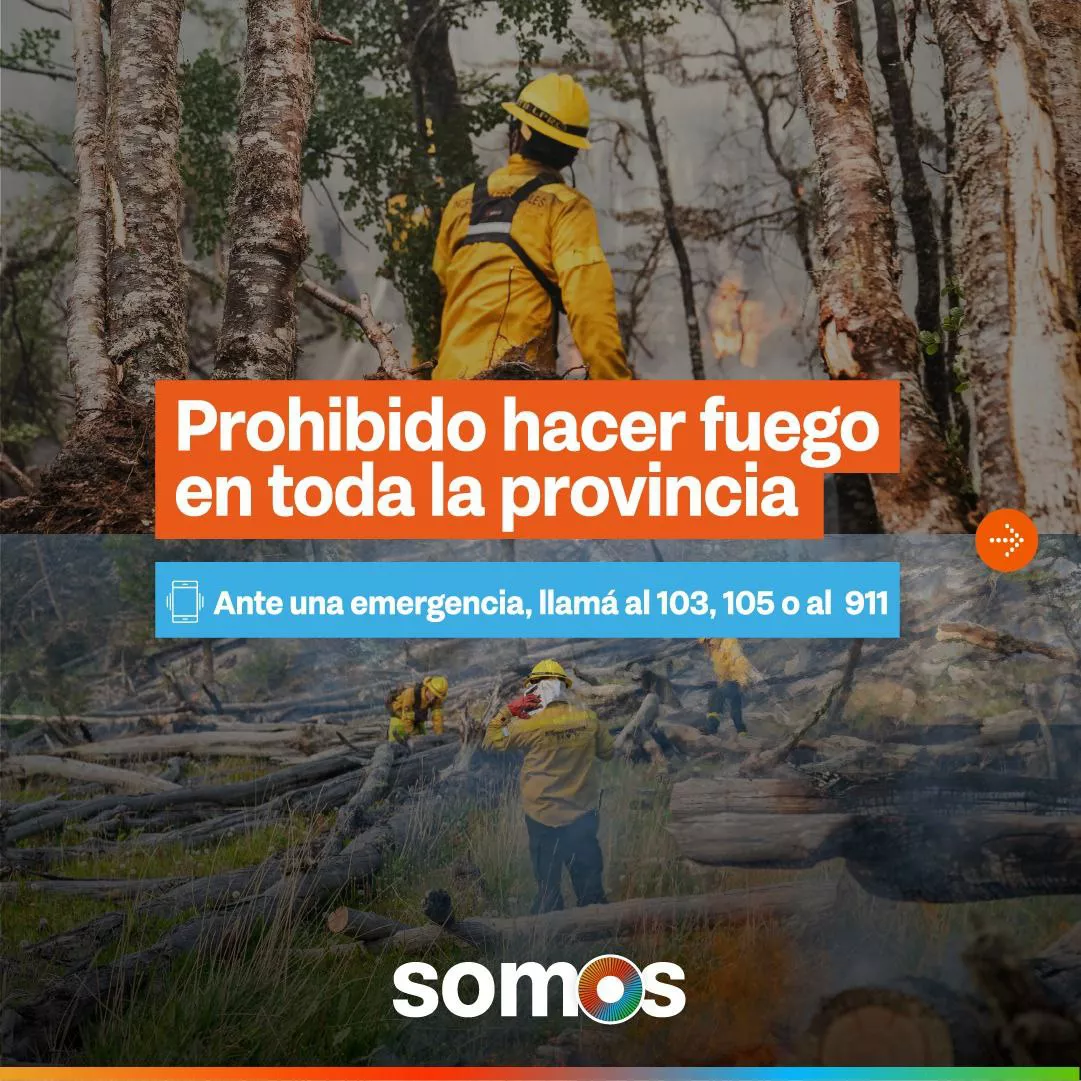 AFF376C7-1544-4A56-81F8-024A0D938441