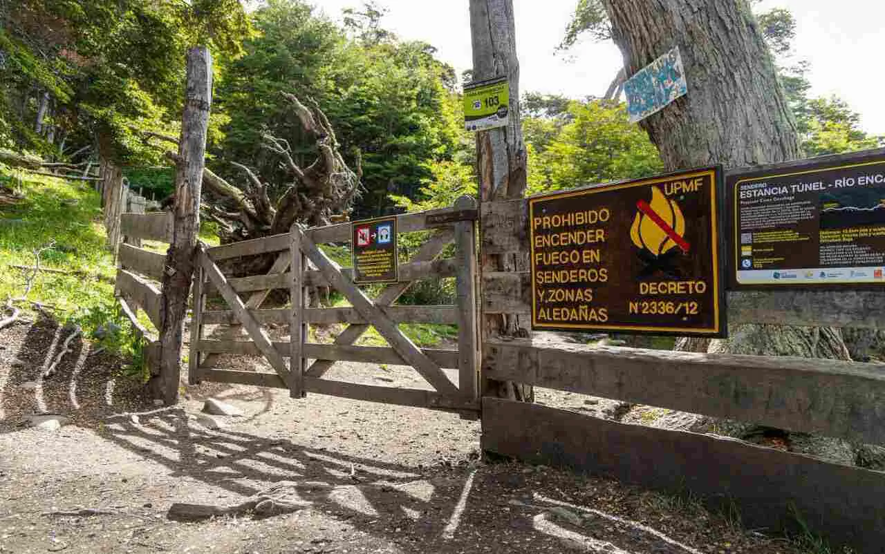 photo_4915826427077266272_y-1