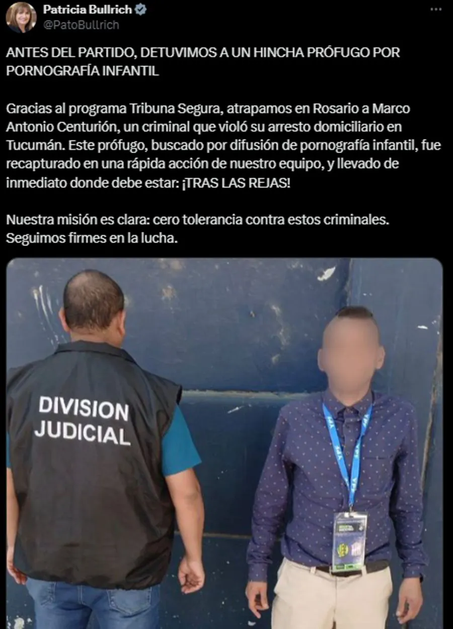 el-tuit-de-patricia-bullrich-sobre-el-periodista-detenido-por-error-20241106-1906906