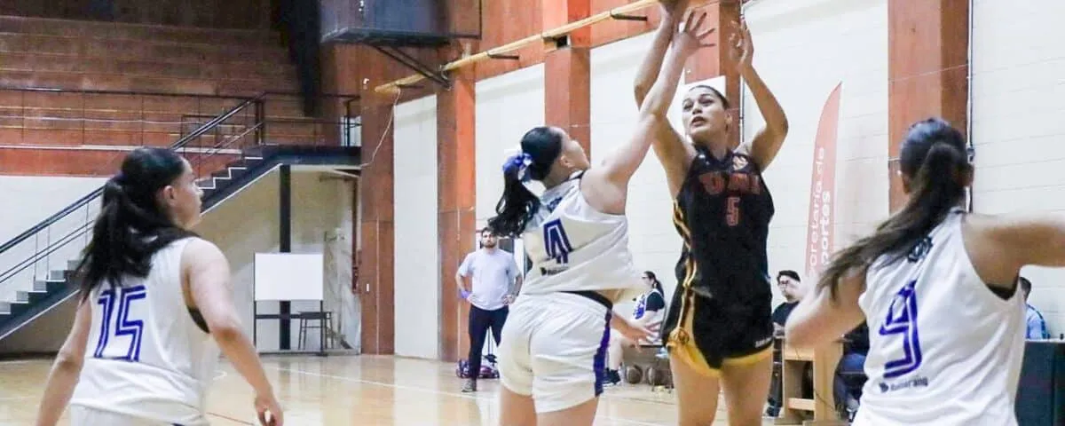 photo_2024-10-24_13-22-09-1200x480