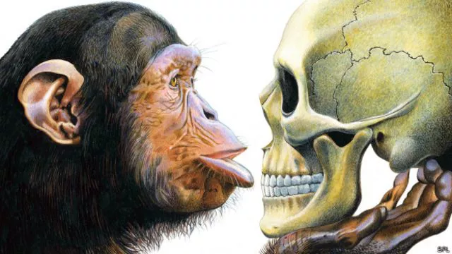 150317121321_humanos_chimpance_624x351_spl