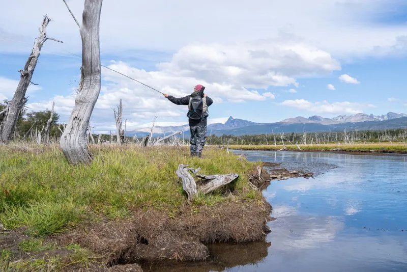 5fde3ef2-392c-4c4d-a5e3-1042ba0ba18c