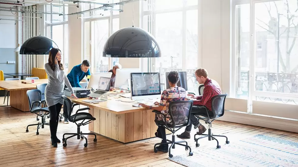 677ecc0ecf835__980x549