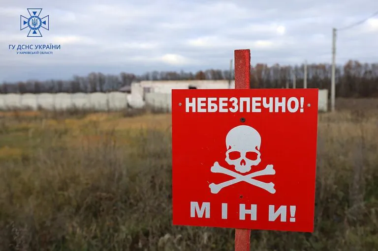 Demining-Main-Directorate-of-the-State-Emergency-Service-in-Kharkiv-Oblast-768x511