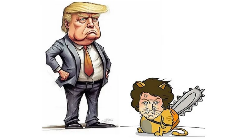 whatsapp_image_2024-11-08_at_18.15_49