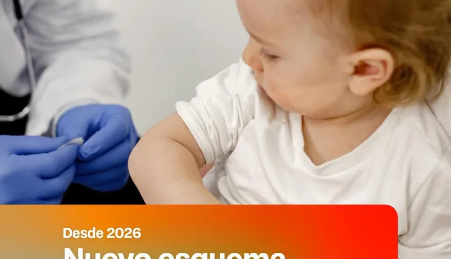 20260112172645_photo-5127448755765447564-y