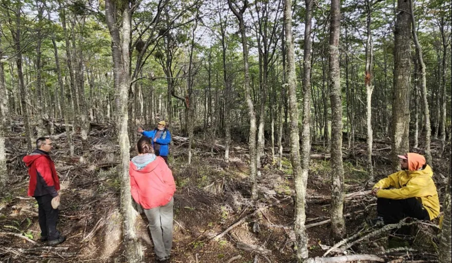 20250326160702_forestal-orientada-al-desarrollo-productivo-sostenible