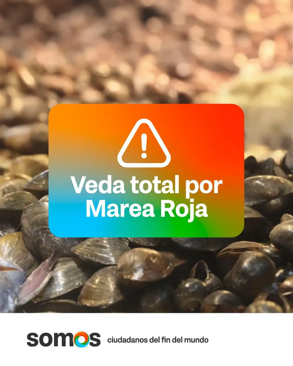 MAREA-ROJA