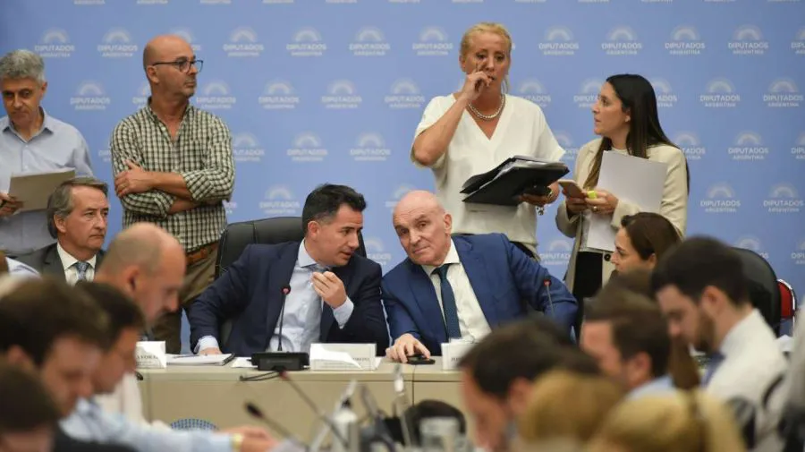 plenario-en-la-camara-de-diputados-20240123-1742933