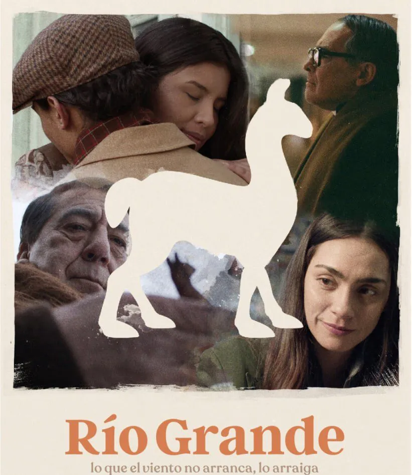 photo_4925229381794770823_y-e1720371553556